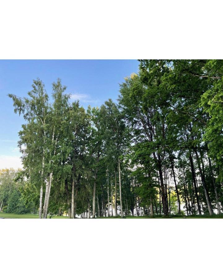 Brivdienu Maja Ezerkalni Dzirciems Exterior photo